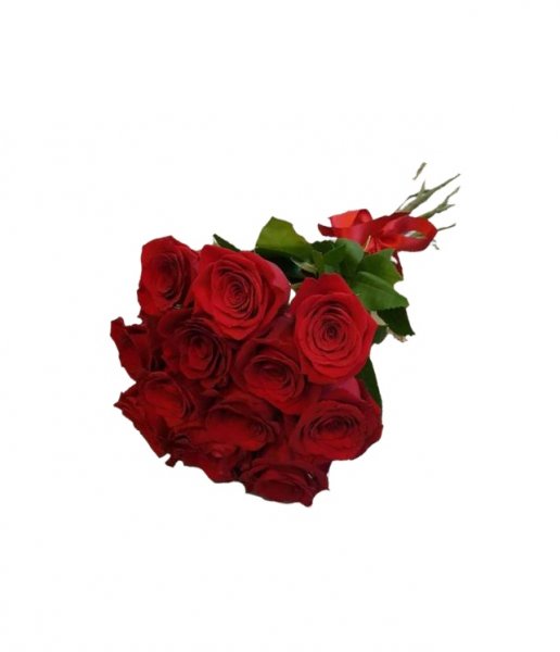 12 rose rosse confezionate (prima di completare il pagamento, consultare il negozio per la disponibilità dei fiori)