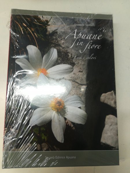 Giuseppe Trombetti- Apuane in fiore