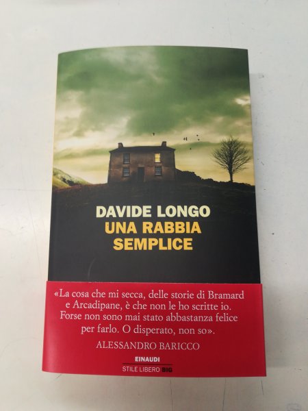 Davide Longo- Una rabbia semplice 