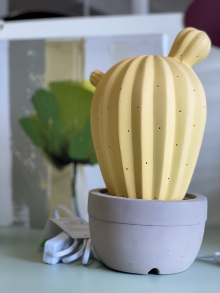 Lampada cactus