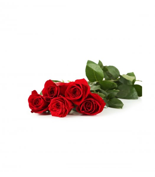 5 rose rosse confezionate (prima di completare il pagamento, consultare il negozio per la disponibilità dei fiori)