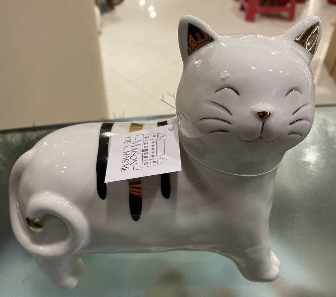 Gatto Edelweiss