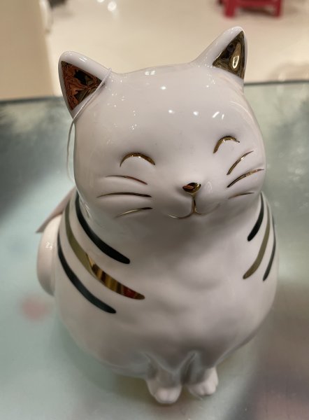 Gatto Edelweiss
