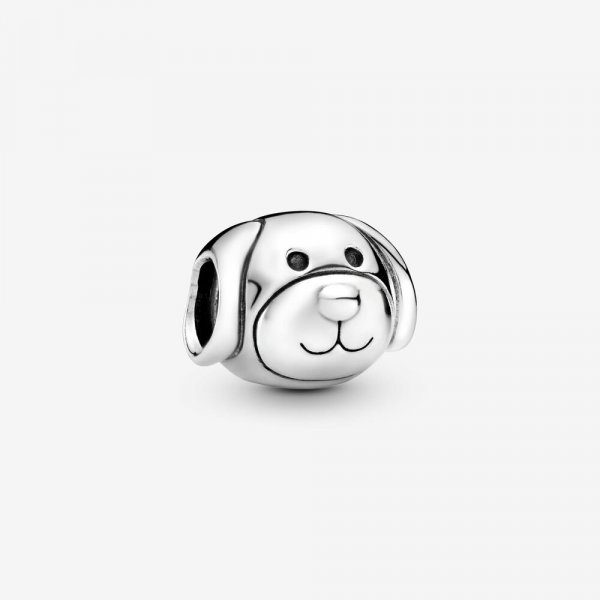 Pandora Charm