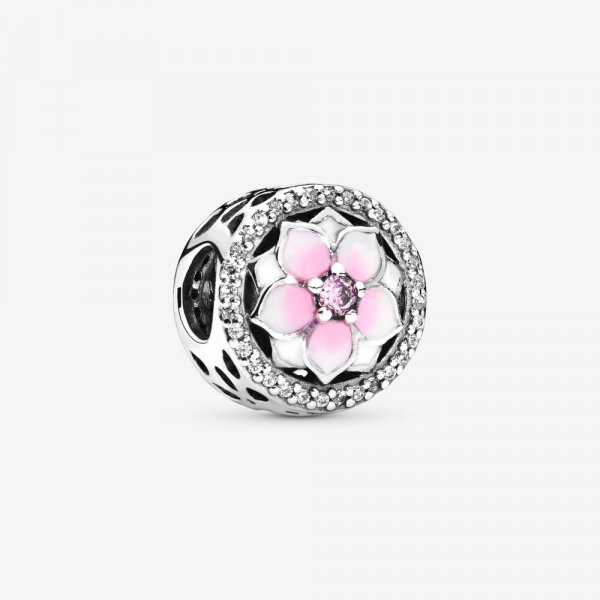 Pandora Charm