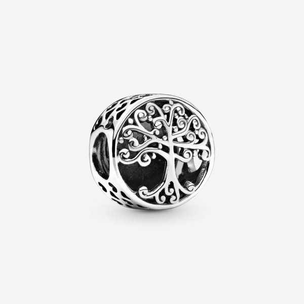 Pandora Charm