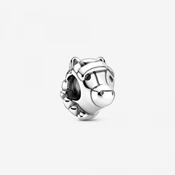 Pandora Charm