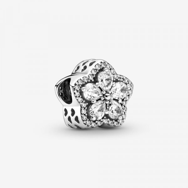 Pandora Charm