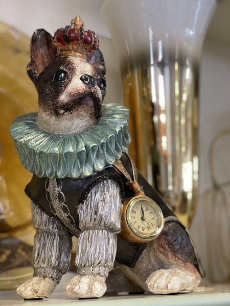 Cane con orologio