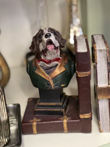 Cane ferma libri