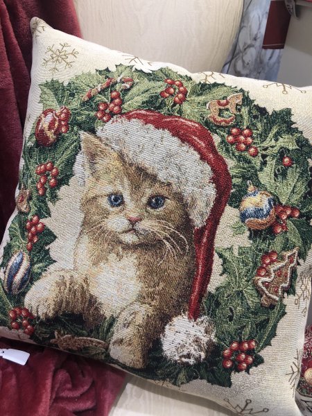 Cuscino con gatto