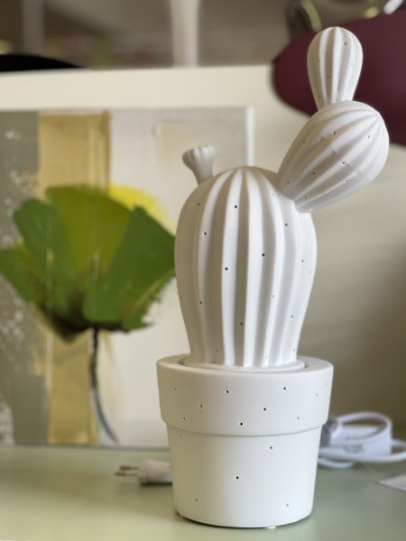 Lampada cactus