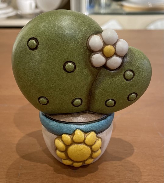Vasetto con Cactus Thun